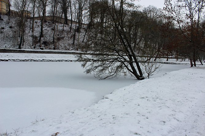 Gef&auml;hrlicher Leichtsinn auf Parkteich (Foto: Karl-Heinz Herrmann)
