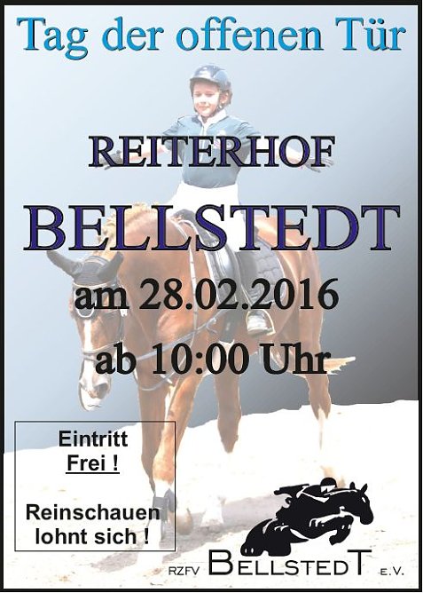 In einen Reitstall geschaut (Foto: Privat) In einen Reitstall geschaut (Foto: Privat)