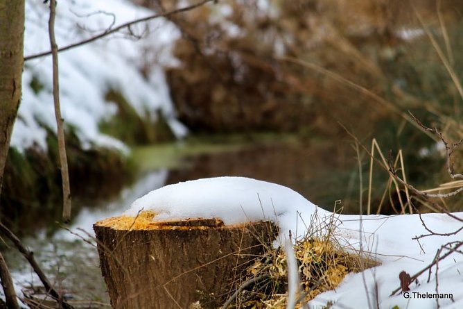 Wetterbild (Foto: Gernot Thelemann) Wetterbild (Foto: Gernot Thelemann)