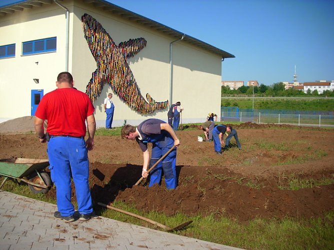 Fischteich bei Stiftung Finneck (Foto: Stiftung Finneck) Fischteich bei Stiftung Finneck (Foto: Stiftung Finneck)