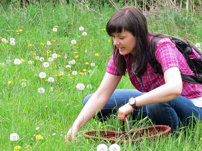 "Medizin" im Regionalmuseum (Foto: Privat)
