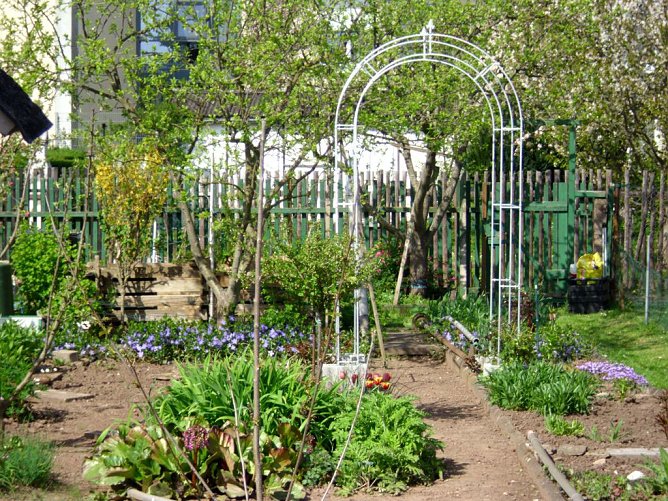 Neues Jahr - neues Gärtnerglück (Foto: Thomas Leipold) Neues Jahr - neues Gärtnerglück (Foto: Thomas Leipold)