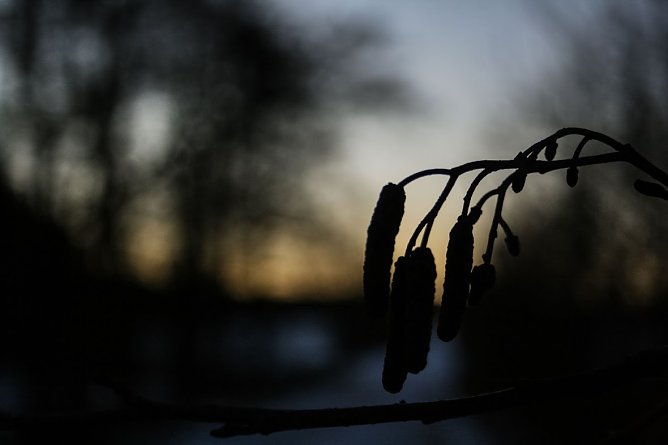 Wetterbild (Foto: Gernot Thelemann)