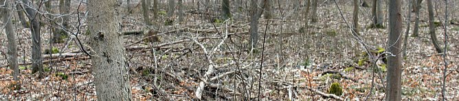 B&uuml;rgerinitiative mit Staatssekret&auml;r unterwegs (Foto: Karl-Heinz Herrmann)