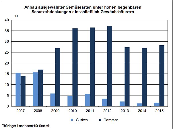 Anbau ausgew&auml;hlter Gem&uuml;searten in Th&uuml;ringen (Foto: Th&uuml;ringer Landesamt f&uuml;r Statistik)