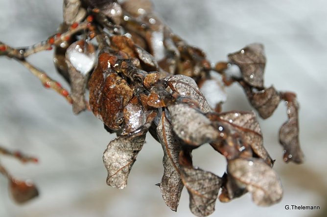 Wetter-Bild (Foto: Gernot Thelemann)