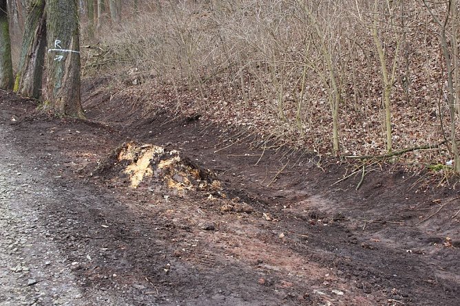 Hammatal wieder begehbar? (Foto: Karl-Heinz Herrmann)
