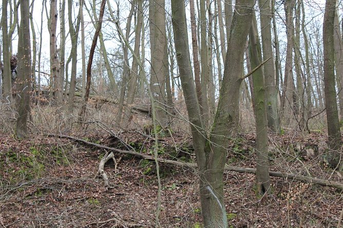 Hammatal wieder begehbar? (Foto: Karl-Heinz Herrmann)