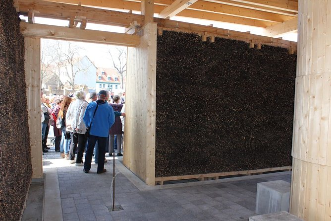 Massenandrang im Kurpark Bad Frankenhausen (Foto: Karl-Heinz Herrmann)