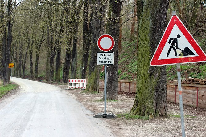 Waldwegebau im Hammatal von Sondershausen (Foto: Karl-Heinz Herrmann)
