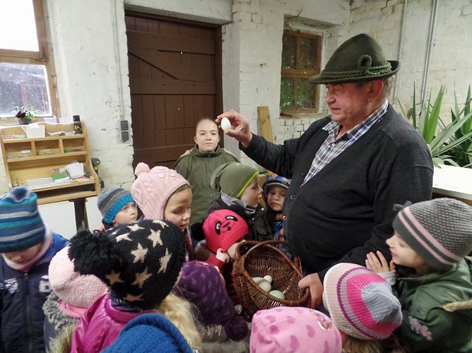 Besuch bei den K&uuml;ken (Foto: Privat)