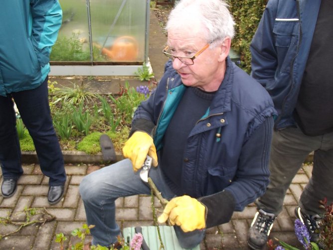 Interessante Rosenseminare mit Bernd Schlichting (Foto: Thomas Leipold)