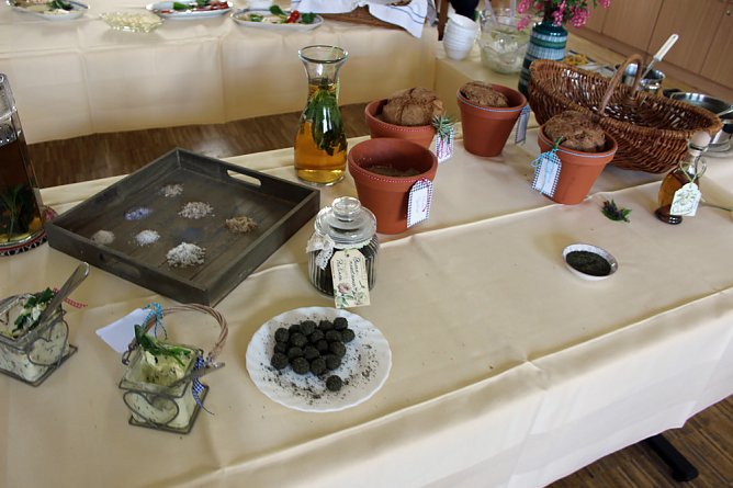 Brennnessel: K&ouml;nigin der Kr&auml;uter (Foto: Karl-Heinz Herrmann)