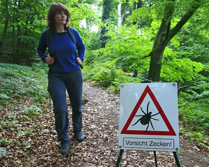Achtung Zecken (Foto: dpa Picture-Alliance)