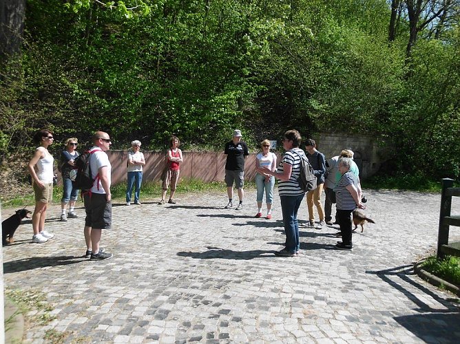 Fr&uuml;hlingswanderung durch das Wippertal bei G&uuml;nserode (Foto: Karin Thiele)