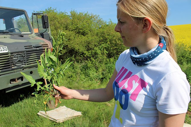 Studien zur Erhaltung der Natur (Foto: Karl-Heinz Herrmann) Studien zur Erhaltung der Natur (Foto: Karl-Heinz Herrmann)