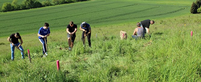 Studien zur Erhaltung der Natur (Foto: Karl-Heinz Herrmann) Studien zur Erhaltung der Natur (Foto: Karl-Heinz Herrmann)