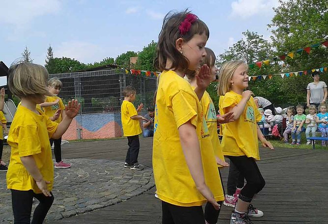 Siegel (Foto: Andreas Reich) Siegel (Foto: Andreas Reich)