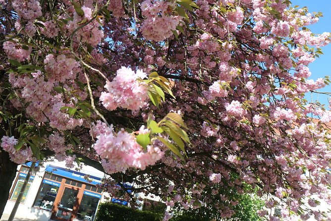 Wetterbild (Foto: Angelo Glashagel) Wetterbild (Foto: Angelo Glashagel)