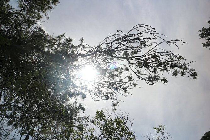 Wetterbild (Foto: Angelo Glashagel) Wetterbild (Foto: Angelo Glashagel)