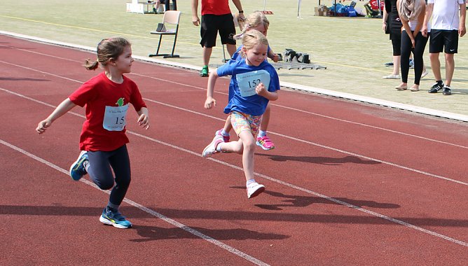 Ergebnisse der 6. Mini-WM (Foto: Karl-Heinz Herrmann)