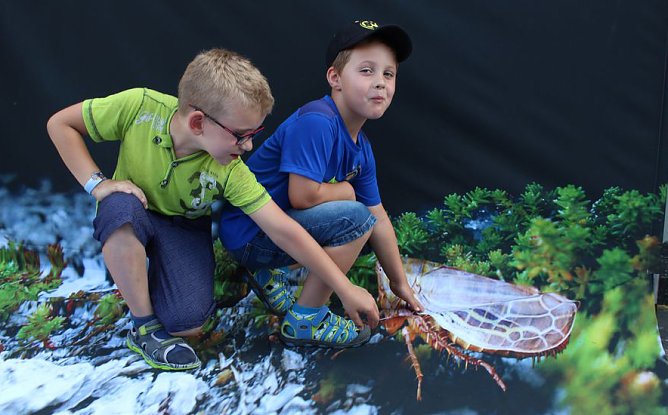 2. Bildungs- und Familienmesse (Foto: Karl-Heinz Herrmann) 2. Bildungs- und Familienmesse (Foto: Karl-Heinz Herrmann)