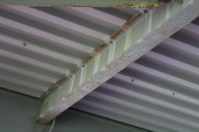 Auf dem G&ouml;ldner keine Zusage machen k&ouml;nnen (Foto: Karl-Heinz Herrmann)