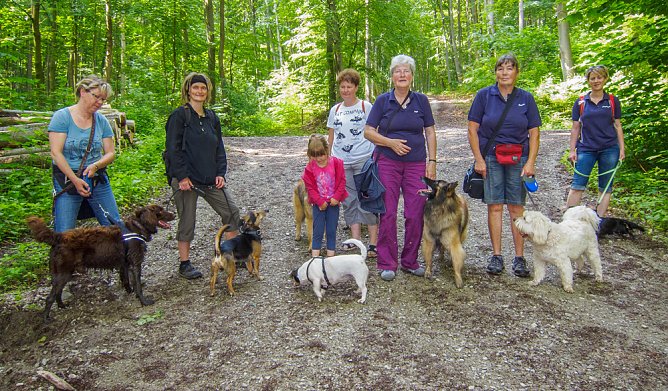 Der Tag des Hundes wurde auf der Trift gefeiert (Foto: Privat) Der Tag des Hundes wurde auf der Trift gefeiert (Foto: Privat)