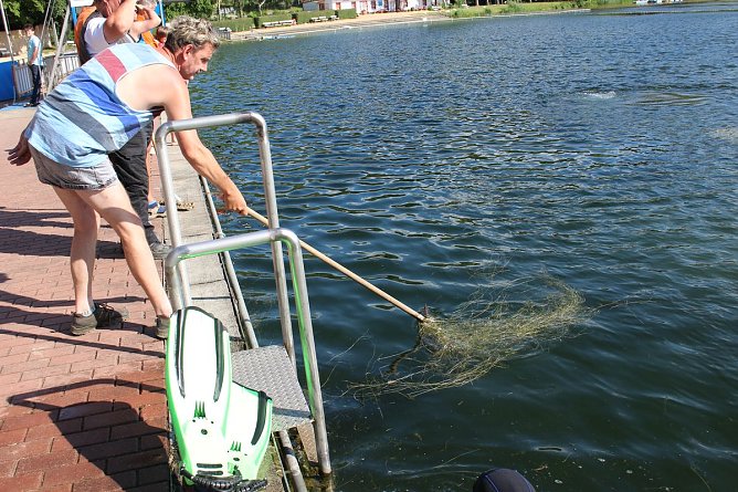 Grasmahd im Bebraer Teich (Foto: Karl-Heinz Herrmann) Grasmahd im Bebraer Teich (Foto: Karl-Heinz Herrmann)