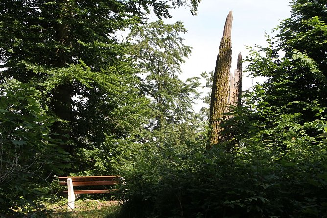 Wetterbild (Foto: Angelo Glashagel) Wetterbild (Foto: Angelo Glashagel)