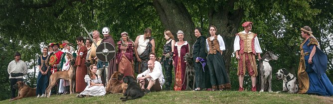 Doggenschau auf Burg Scharfenstein (Foto: Deutscher Doggen Club - DCC)