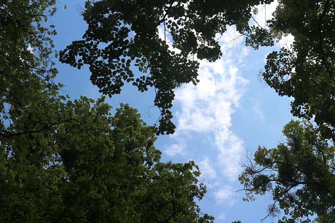 Wetterbild (Foto: Angelo Glashagel) Wetterbild (Foto: Angelo Glashagel)