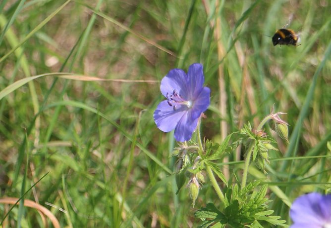 Wetterbild (Foto: Angelo Glashagel) Wetterbild (Foto: Angelo Glashagel)