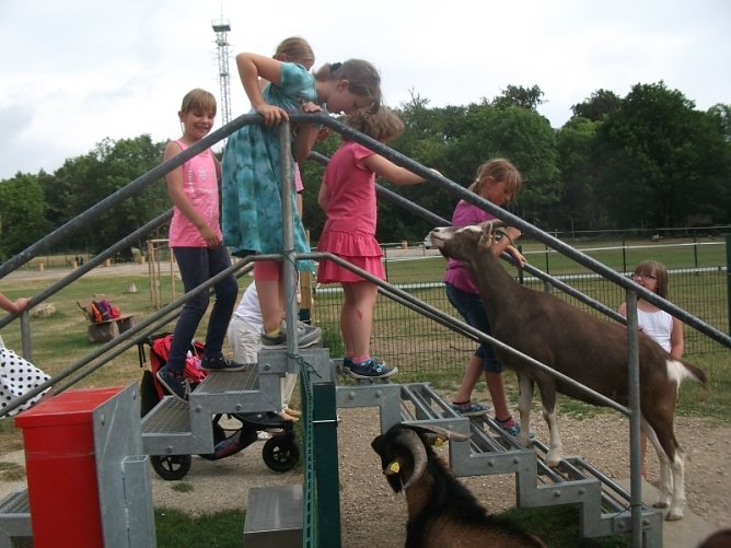 Ferienspiele und Ferienaktionen im DOMizil gut besucht (Foto: DOMizil)