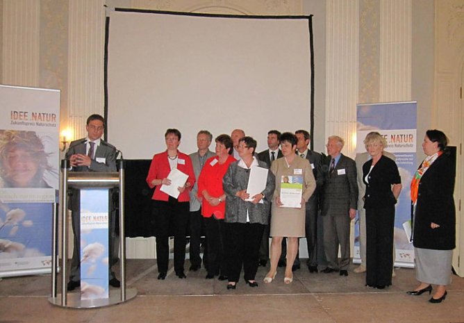 Alter Wald mit Zukunft (Foto: Mitglied Landtag Gudrun Holbe)