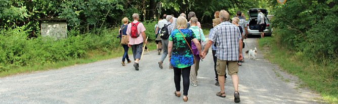 "Südländische Bäume im Possenwald" (Foto: Karl-Heinz Herrmann) "Südländische Bäume im Possenwald" (Foto: Karl-Heinz Herrmann)
