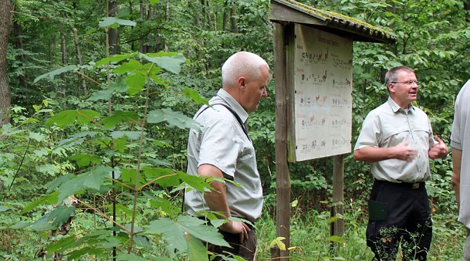 "Südländische Bäume im Possenwald" (Foto: Karl-Heinz Herrmann) "Südländische Bäume im Possenwald" (Foto: Karl-Heinz Herrmann)