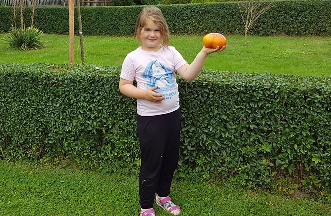 Prachtexemplar im KGV Hammatal",entdeckt! (Foto: J&ouml;rg Hass)