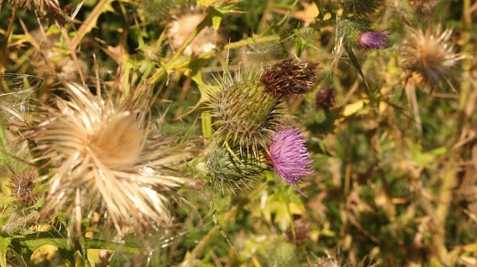 Wetterbild (Foto: Angelo Glashagel)
