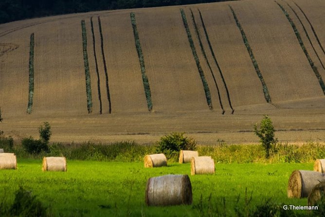 Wetter-Bild (Foto: Gernot Thelemann)
