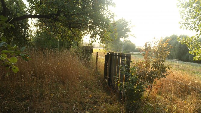 Wetterbild (Foto: Angelo Glashagel)