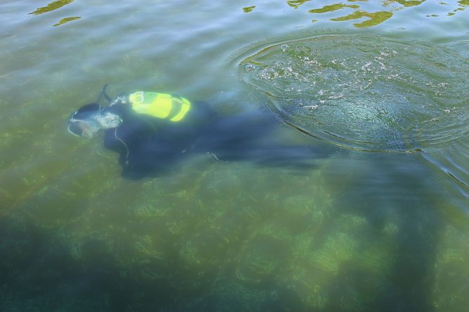 Taucher im Schwimmbad im Einsatz (Foto: Karl-Heinz Herrmann) Taucher im Schwimmbad im Einsatz (Foto: Karl-Heinz Herrmann)