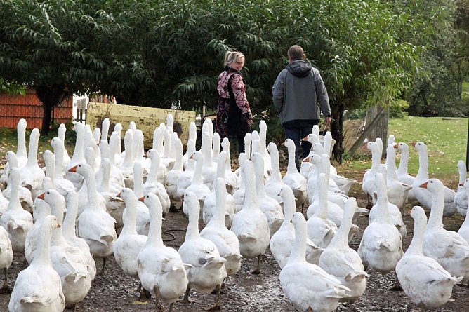 &Ouml;ko tut tierisch gut! (Foto: S. Spehr)
