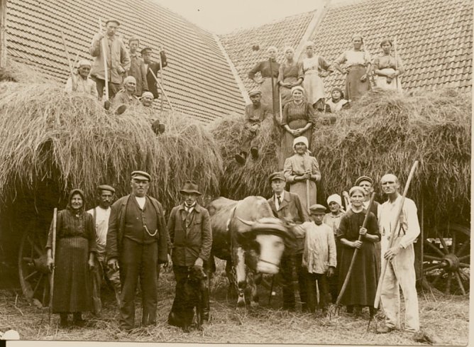 Vortrag im Regionalmuseum (Foto: Regionalmuseum Bad Frankenhausen) Vortrag im Regionalmuseum (Foto: Regionalmuseum Bad Frankenhausen)
