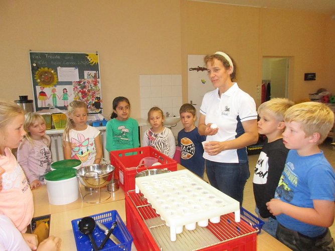 Projektwoche (Foto: GS Hohenebra) Projektwoche (Foto: GS Hohenebra)