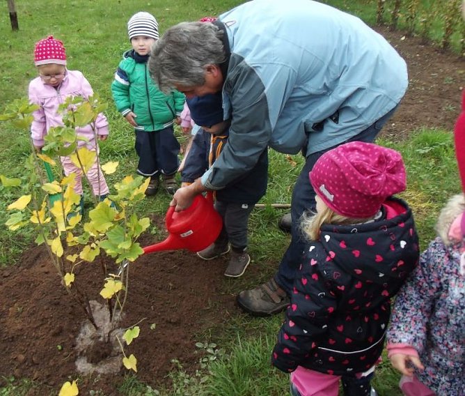 Nächstes Jahr wird genascht (Foto: Thomas Leipold) Nächstes Jahr wird genascht (Foto: Thomas Leipold)