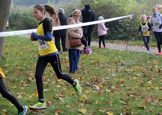 Stadtparklauf (Foto: Karl-Heinz Herrmann)
