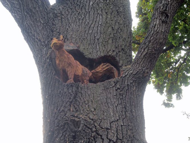 Ferienaktionen im Domizil (Foto: Domizil)