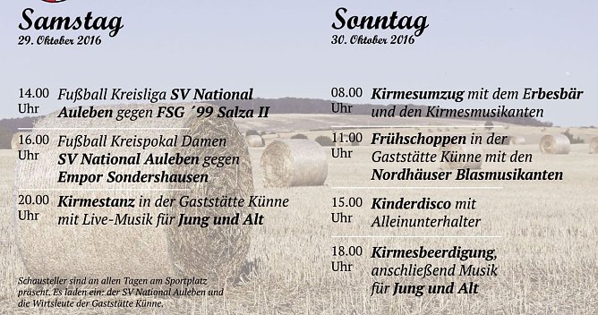 Der Blick auf das Programm (Foto: privat)