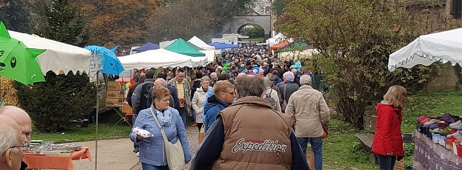 Bauernmarkt in Braunsroda (Foto: nnz)